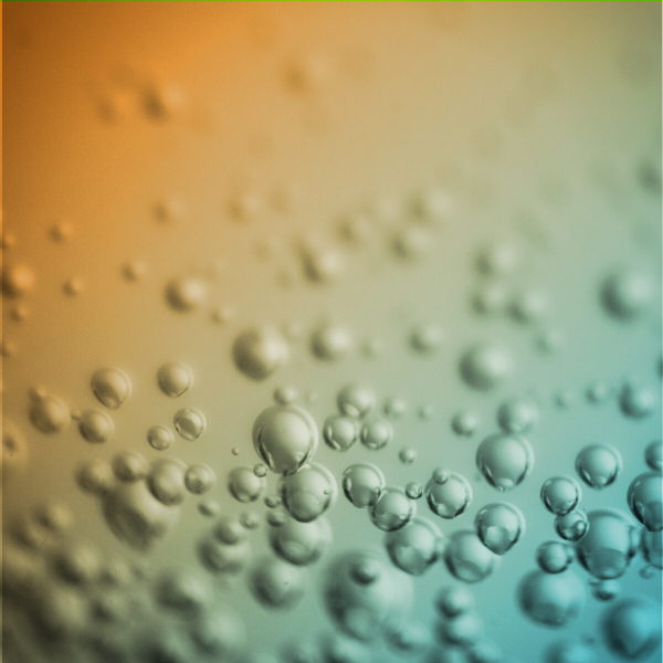 Leading tech companies join forces to improve the use of social media to fight fraud