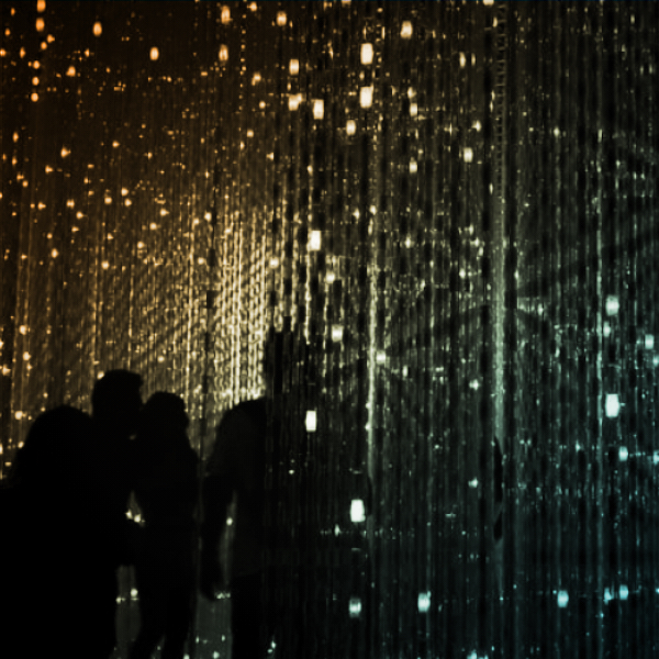 NetWatch & the value of our internship